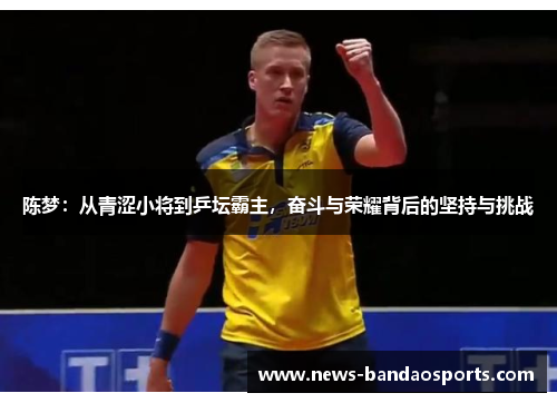 陈梦：从青涩小将到乒坛霸主，奋斗与荣耀背后的坚持与挑战