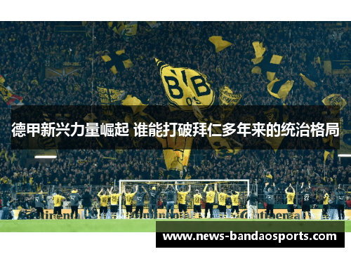 德甲新兴力量崛起 谁能打破拜仁多年来的统治格局