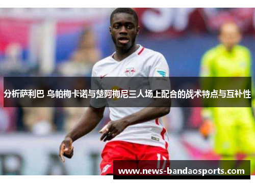 分析萨利巴 乌帕梅卡诺与楚阿梅尼三人场上配合的战术特点与互补性